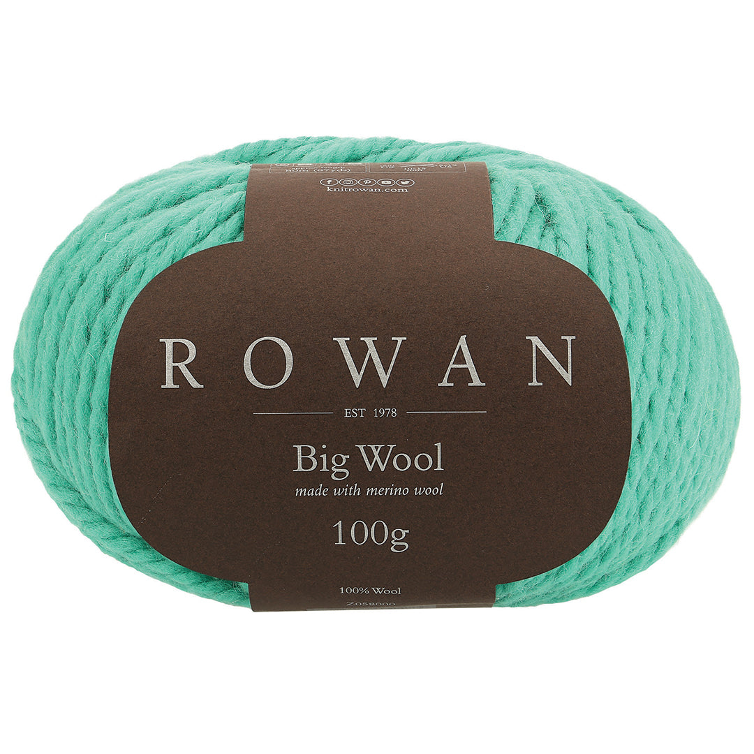 Rowan big best sale wool cactus